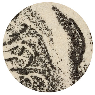 10x Magnification