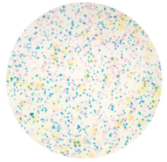 500x Magnification