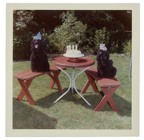 Kodacolor print 1963