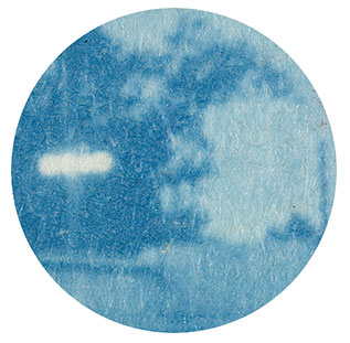 30x Magnification