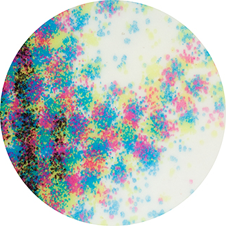 100x Magnification