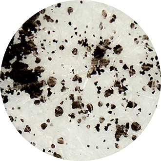 100x Magnification