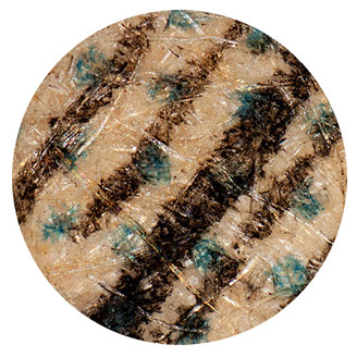 50x Magnification