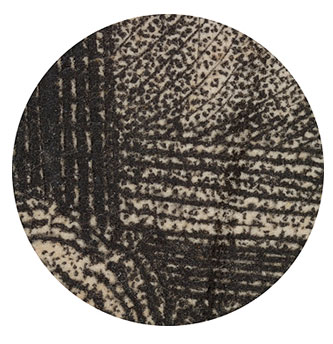10x Magnification