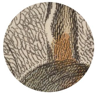 10x Magnification