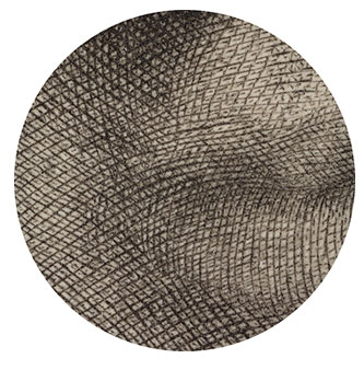 10x Magnification