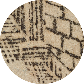10x Magnification