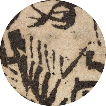 10x Magnification