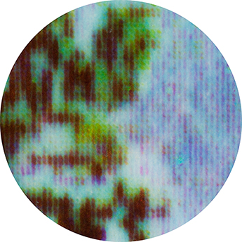 50x Magnification